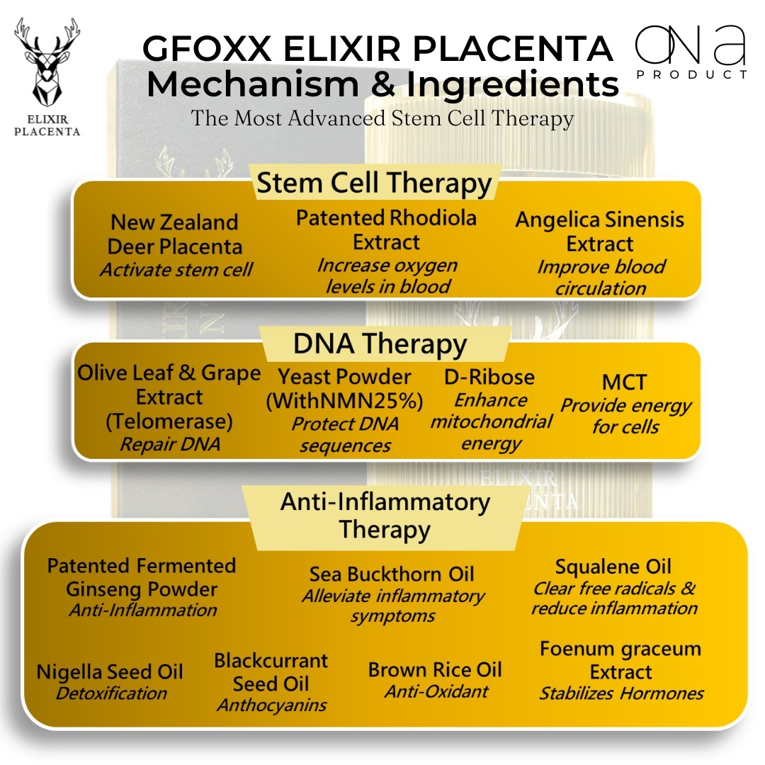 Gfoxx Elixir Placenta stem cell therapy mechanism and ingredients chart.