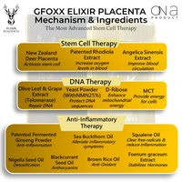 Thumbnail for Gfoxx Elixir Placenta stem cell therapy mechanism and ingredients chart.