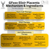 Gfoxx Elixir Placenta Booster